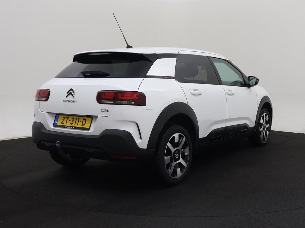 54327206-2.jpg