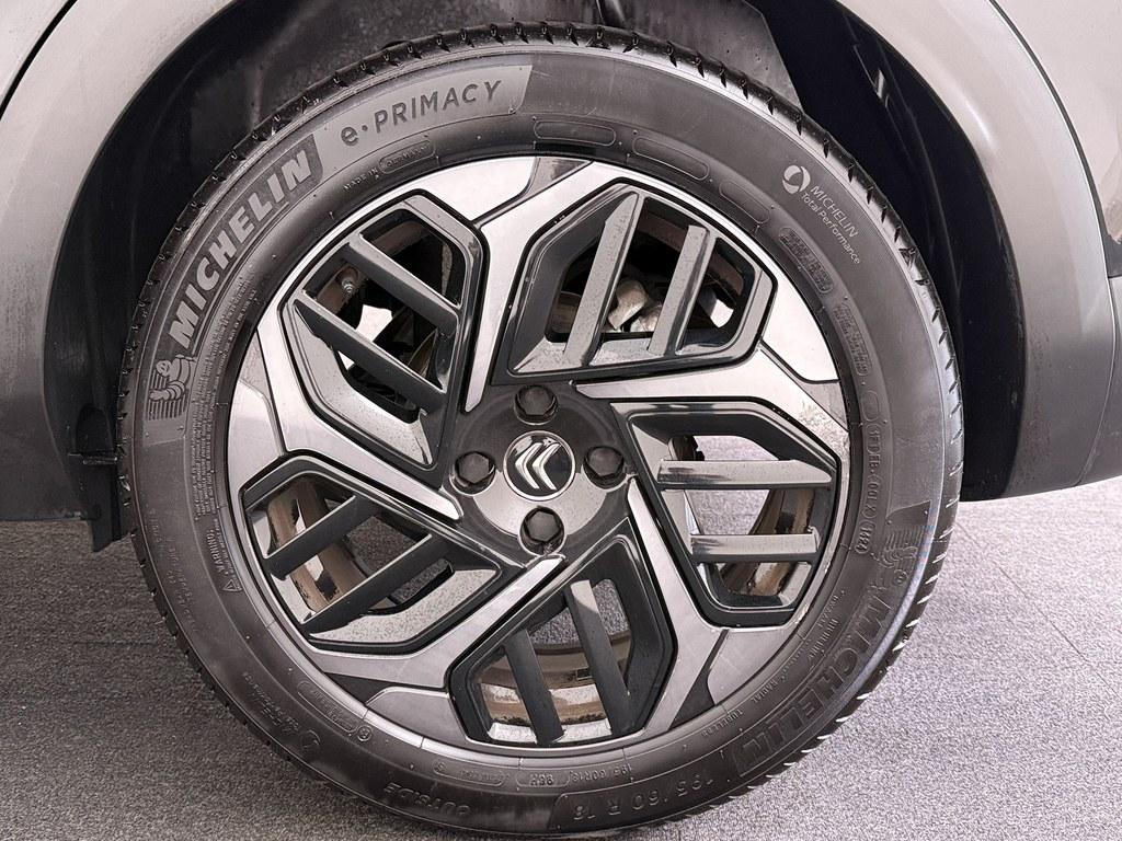 54359002-3.jpg