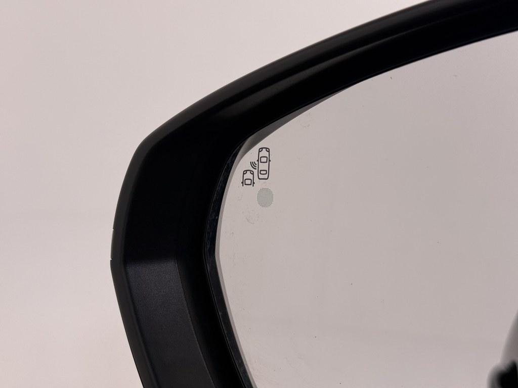 55095353-7.jpg